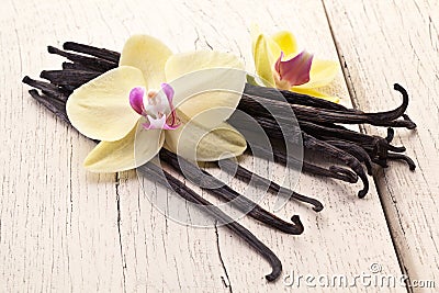 Vanilla sticks with a flower. Stock Photo