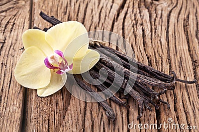 Vanilla sticks with a flower. Stock Photo