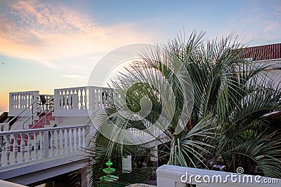Vanilla sunset Palm Stock Photo