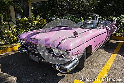 American pink Cadillac Cabriolet classic car parked under a tree in Varadero Cuba Editorial Stock Photo