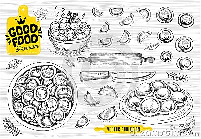 Vareniki. Pelmeni. Meat dumplings. Food. Cooking. National dishes. Products from the dough and meat. Vector Illustration