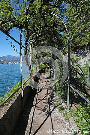 Lakeside walk in Villa Monastero, vertical Editorial Stock Photo