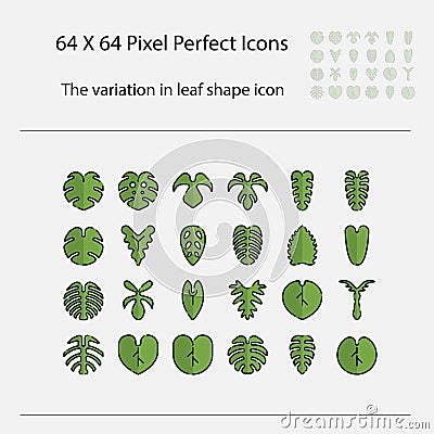 The variation of leaf shape icon. Variation of leaves vector filled outline icon Vector Illustration