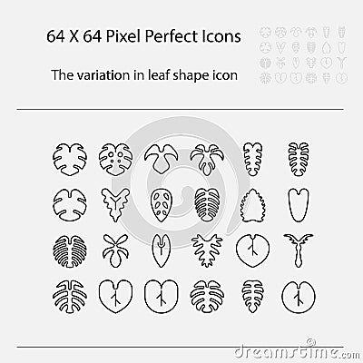 The variation of leaf shape icon. Variation of leaves vector outline icon Vector Illustration