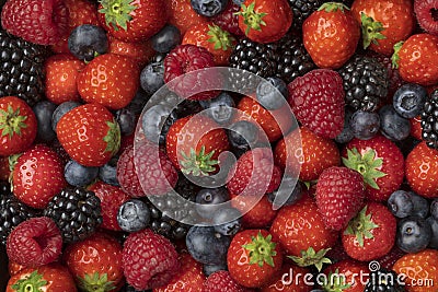 Variation of mixed summer fruit close up full frame Stock Photo