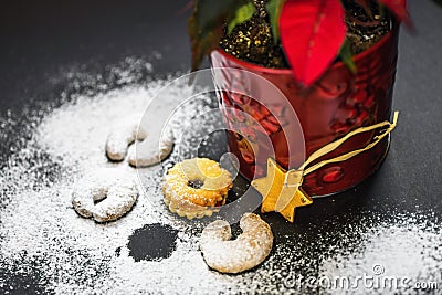 Variation of small christmas biscuit,christmas star flower and all snowy with sugar Stock Photo