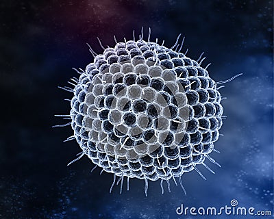 Varicella zoster virus Stock Photo