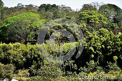 Varied vegetation in the interior of Mogi das Cruzes Stock Photo