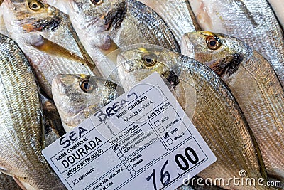 Varieties of fresh fish in market in Tavira, Portugal Editorial Stock Photo