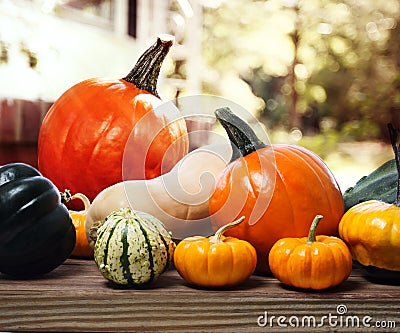 Varieties of pumpkins and squashes Stock Photo