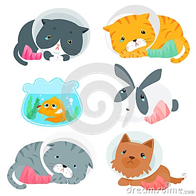 Variety animal splinting pack illustration Vector Illustration