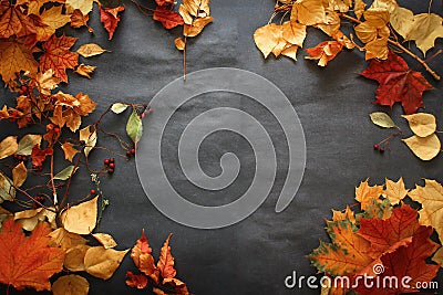 A variety of autumn leaves of twigs and berries laid out on dark Stock Photo