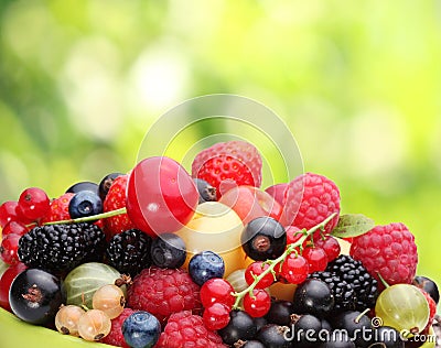 Variety of berries Stock Photo