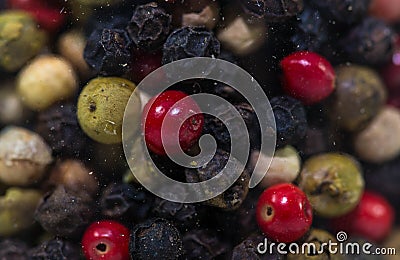 Variety of black, red green dried pepper seeds Stock Photo