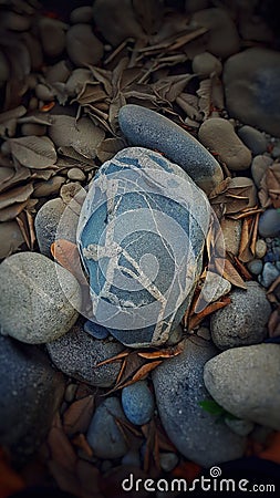 Variety of bluish-gray rocks with dry foliage. Stock Photo