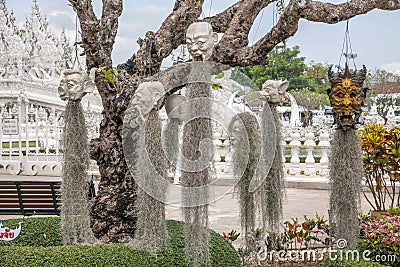 A variety of Chiang Rai in northern Thailand Baimiao hanging on a tree of demons Stock Photo