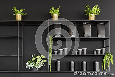 Variety of Coffee Products Displayed on the Shelf Stock Photo