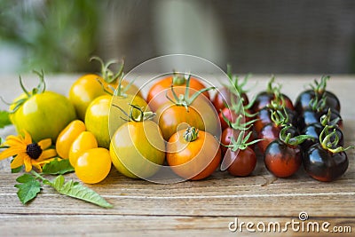 Variety of different rare tomatoes Stock Photo