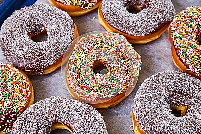 Variety donuts dark chocolate coated with sprinkles and jimmies and coconut shavings on others Stock Photo