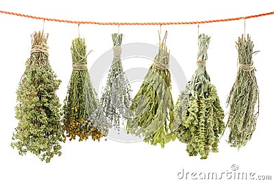 Variety of dried herbs Stock Photo