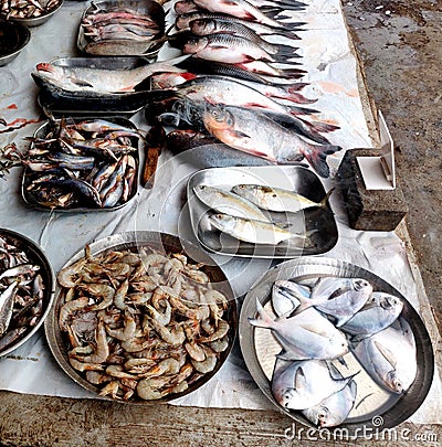 Variety for fish being sold in Indian Fishmarket Stock Photo