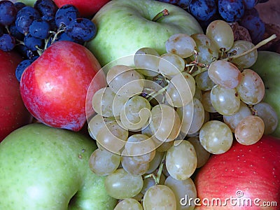 Variety of fresh autumn fruit. Rich autumn organic fruit harvest. Green and red apples, grapes, plums. Stock Photo