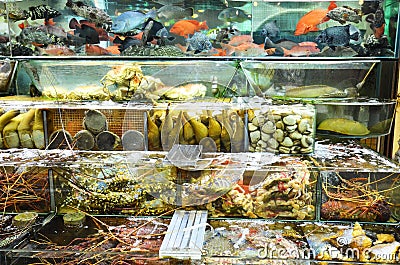 Variety of fresh live seafood Stock Photo