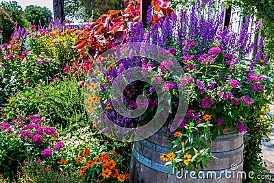 A Variety of Garden Flowers Stock Photo