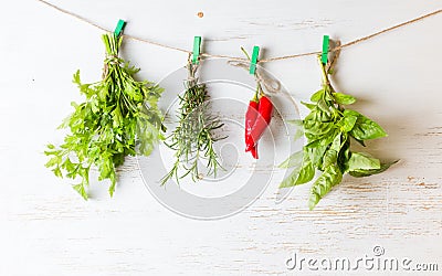 Variety herbs hanging on white background rosemary chili parsley basil Stock Photo