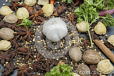 Variety herbs and spices on the table Stock Photo