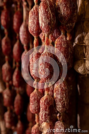 Variety of homemade dried salami sausages hanging in butchery shop in Parma, emilia Romagna, Italy Stock Photo