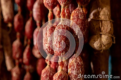 Variety of homemade dried salami sausages hanging in butchery shop in Parma, emilia Romagna, Italy Stock Photo