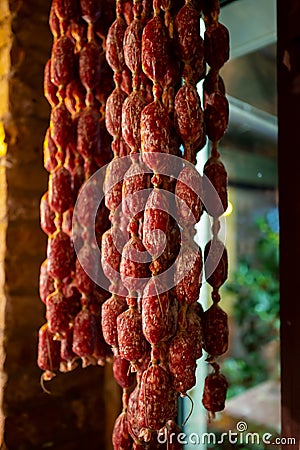 Variety of homemade dried salami sausages hanging in butchery shop in Parma, emilia Romagna, Italy Stock Photo