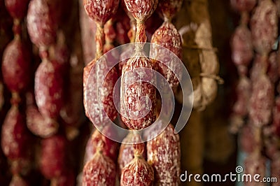 Variety of homemade dried salami sausages hanging in butchery shop in Parma, emilia Romagna, Italy Stock Photo