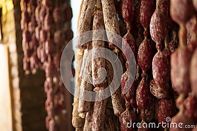 Variety of homemade dried salami sausages hanging in butchery shop in Parma, emilia Romagna, Italy Stock Photo