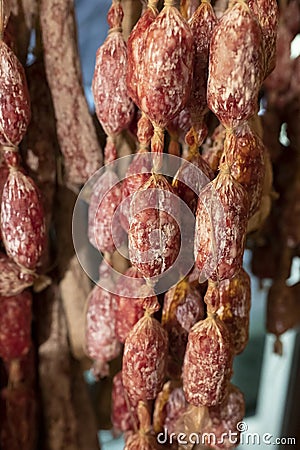 Variety of homemade dried salami sausages hanging in butchery shop in Parma, emilia Romagna, Italy Stock Photo