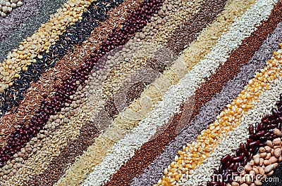 Variety kinds of natural cereal and grain seed stripe background Stock Photo