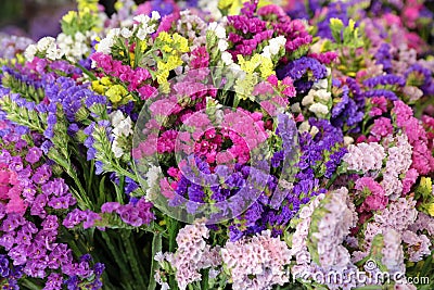 Variety of limonium sinuatum or statice salem flowers in blue, lilac, violet, pink, white, yellow colors in the greek garden shop. Stock Photo