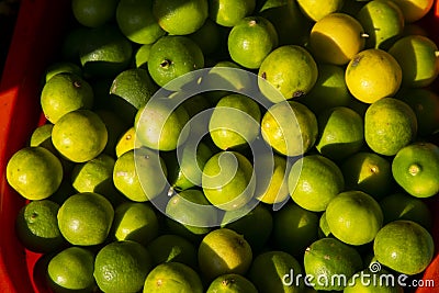 Variety of Peruvian lemons from the Peruvian jungle Stock Photo