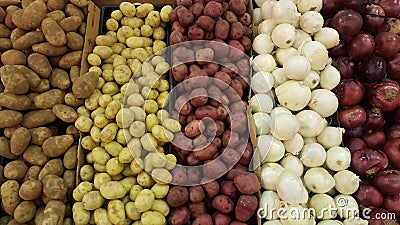 Variety potatoes and onions of different species and colors. Stock Photo