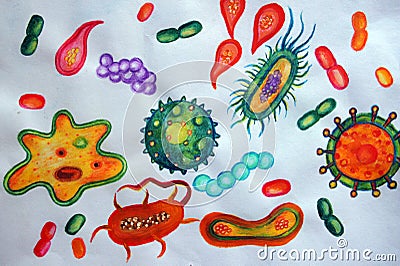 Microorganisms and microbes Vector Illustration