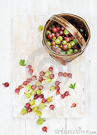 Variety of ripe garden gooseberries in birchbark basket Stock Photo