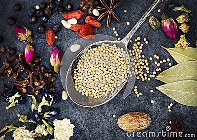 Variety of spice on grunge background Stock Photo