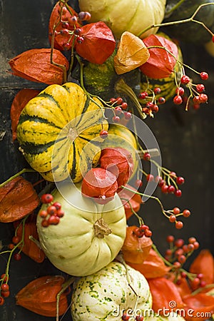 Variety of zucchini striped and patissons Stock Photo