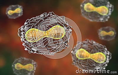 Variola virus illustration Cartoon Illustration