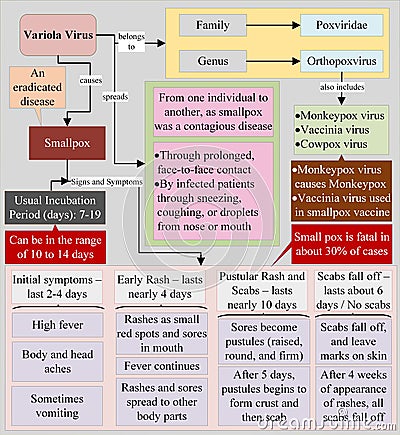 Variola virus and smallpox disease Stock Photo