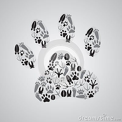 Various animal footprints Vector Illustration