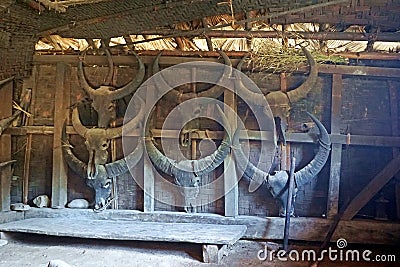 Various animal skulls, decoration for longhouse, Longwa, Nagaland, India Stock Photo