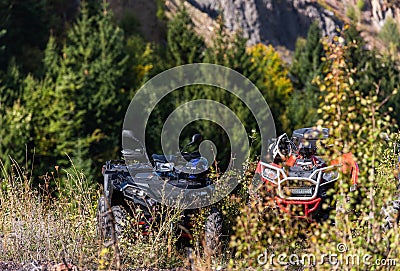 Various ATV quad motors in the forest area ready for adventurous driving Stock Photo