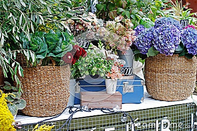 Various beautiful flowers in metal vases and wicker baskets Stock Photo